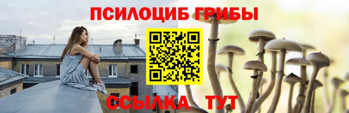 Бор  Псилоцибиновые грибы ЛСД  Вход с VPN 